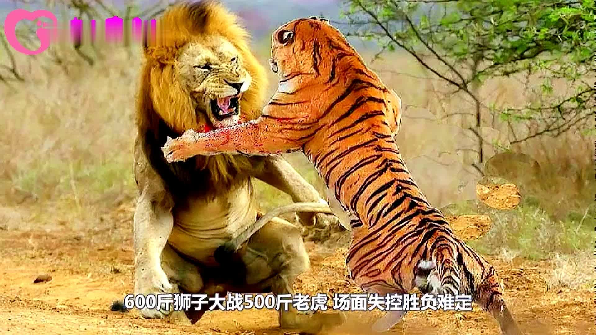 九游体育官网入口-炙手可热：广东对战北京，胜负难定